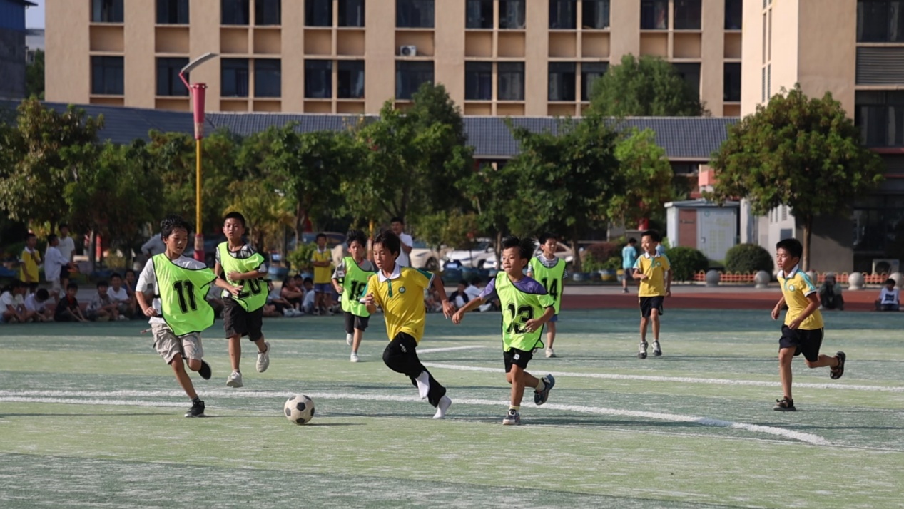 积极引导 积极引导